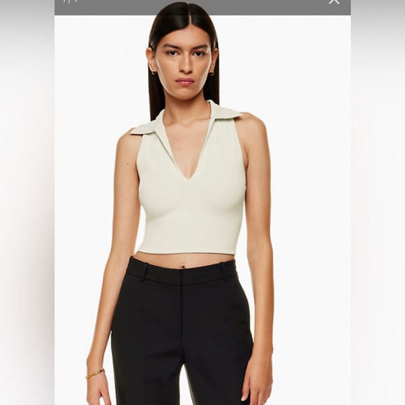 Aritzia Tops - Aritzia Babaton
Contour Polo Tank